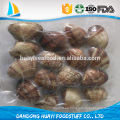 Alta calidad congelados Clam Baby Clam Necked clam proveedores y exportadores en China